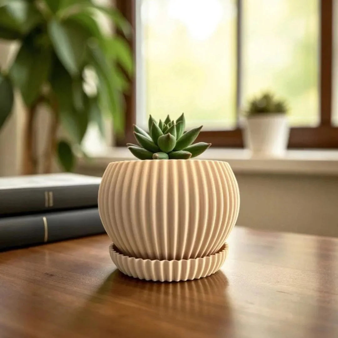 Mini Vaso para Suculentas com Bandeja